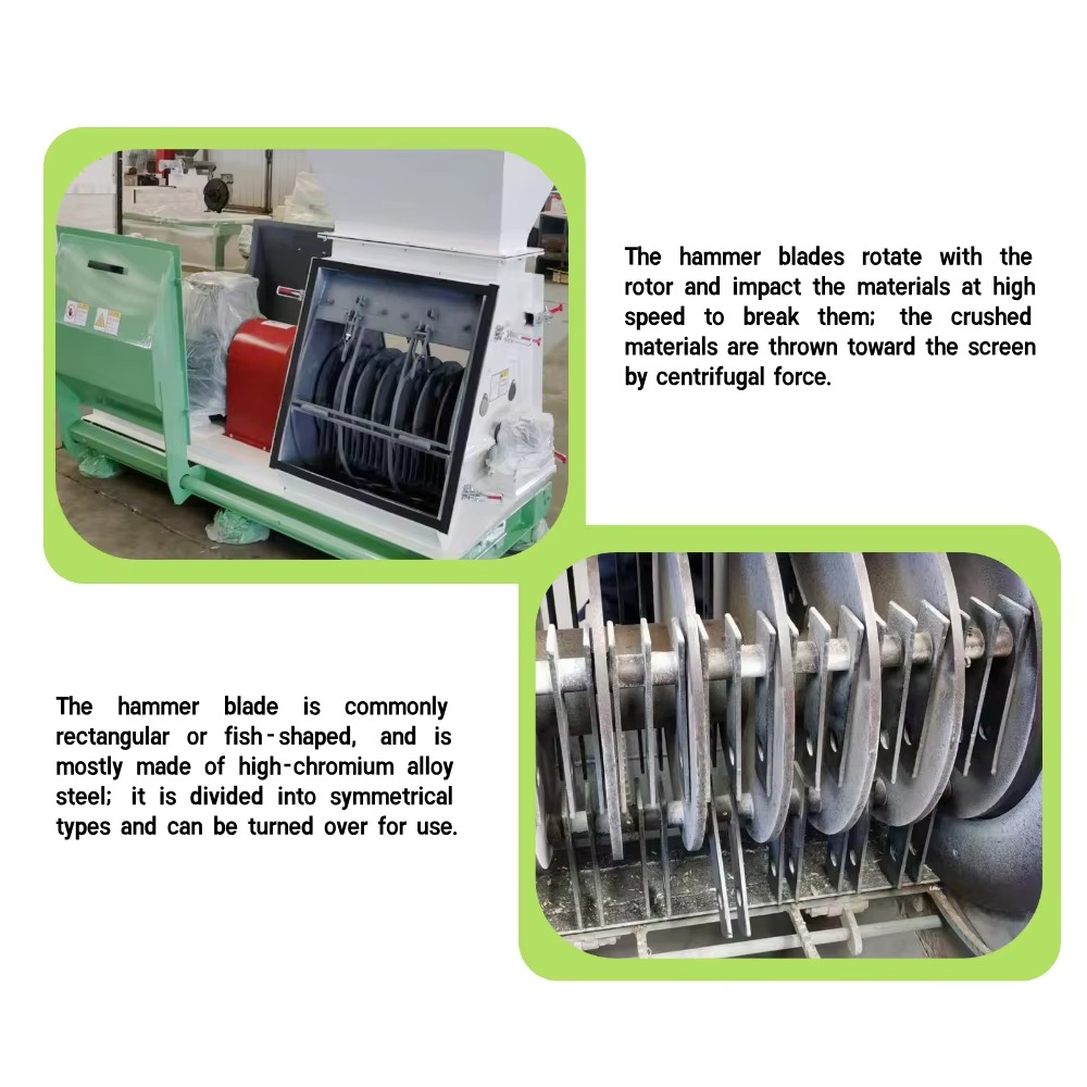Nuovo Mulino a Martelli Indust - Industrial Hammer Mill Grinder recensione e prezzo